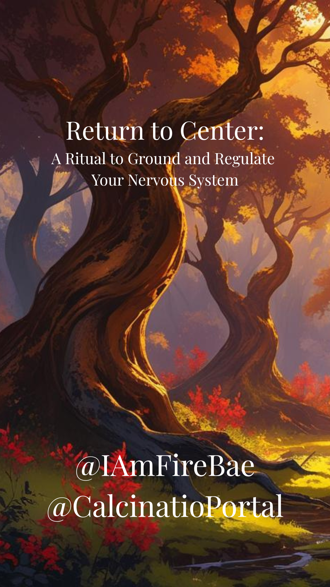 Return to Center: A Ritual to Ground and Regulate Your Nervous System